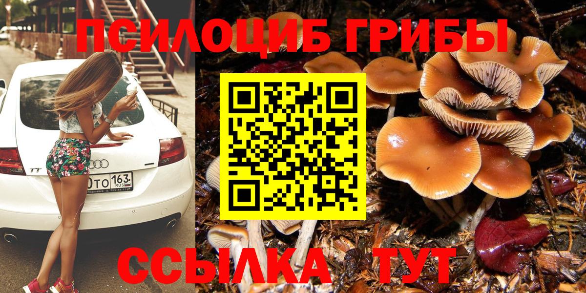 как найти закладки  Вход с VPN  Псилоцибиновые грибы ЛСД  Тамбов  Галлюциногенные грибы Psilocybine cubensis 